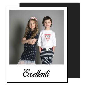 Magnete polaroid base eccellenti